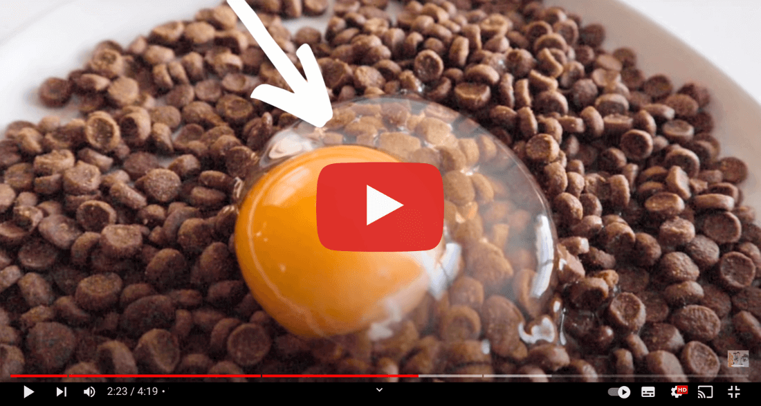 Watch the free video now